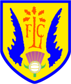 LFC logo footer
